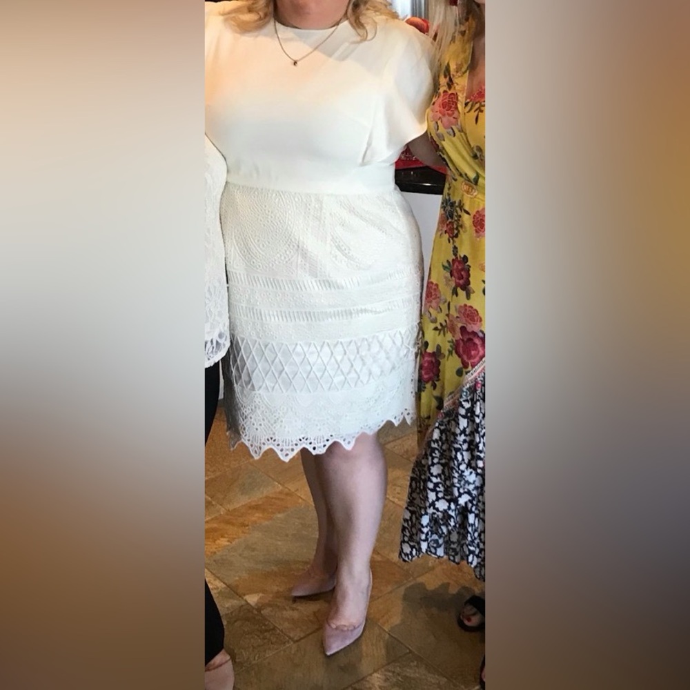 Elegant Cream Lace Dress